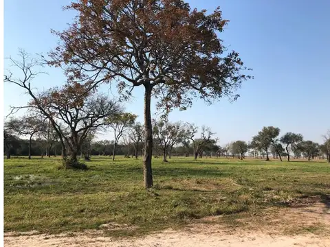 7 LOTES DE 2511m2- RUTA 11 KM 1010