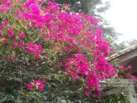 Av. Henry Ford al 2400