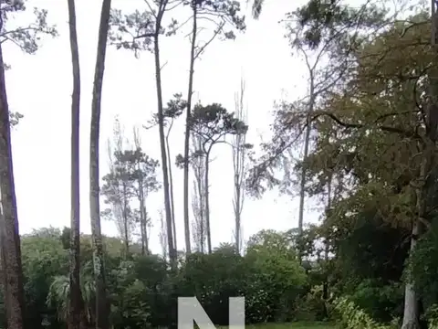 Terreno en Venta 36  mts Fondo