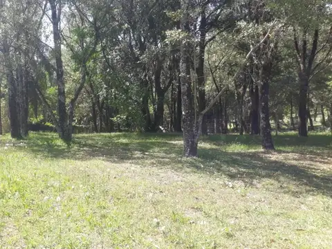 Terreno en Venta de 800,0 m2