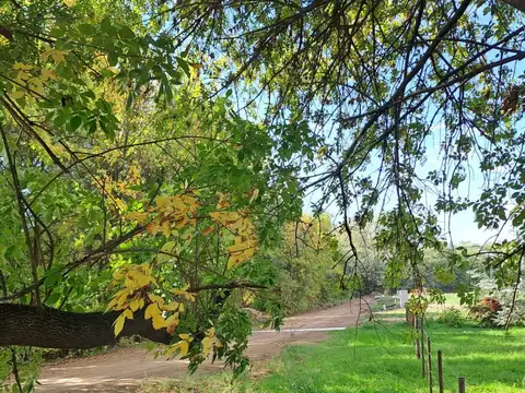 Terreno en Venta en San Antonio de Areco, USD 70.000