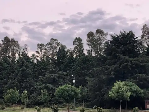 Terreno en Venta de 1152,0 m2