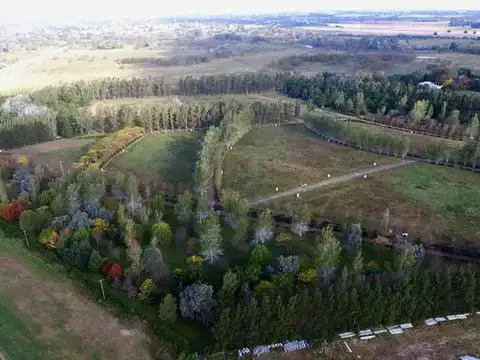 Terreno en Venta 60  mts Fondo