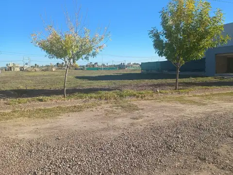 Terreno en Venta en Buena Nueva, USD 14.000