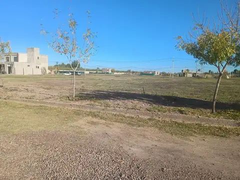 Terreno en Venta de 300,0 m2