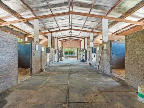 VENDE HIPICO DE 10 HECTAREAS EN FRANCISCO ALVAREZ MORENO