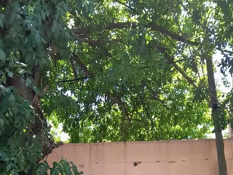 Locales en venta - 5 Baños - Cocheras - 297Mts2 - Los Hornos