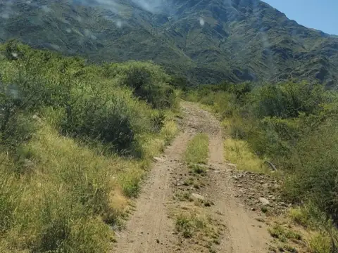 RUTA 3 100