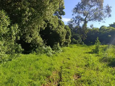 Venta Lote Barrio Santa Celina