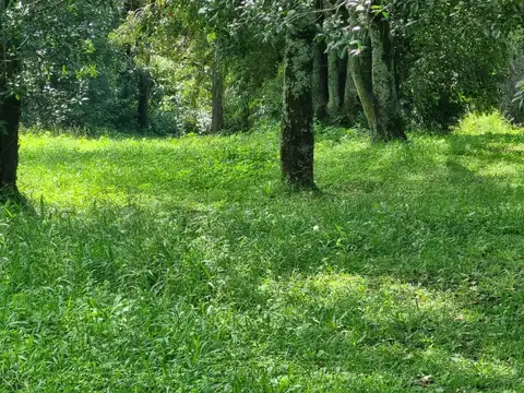 LOTES EN VENTA - COUNTRY LA ARBOLEDA