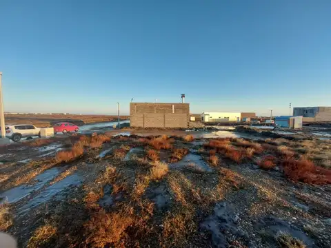 Manuel Oscar Matus 1300