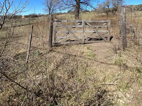 Camino Publico