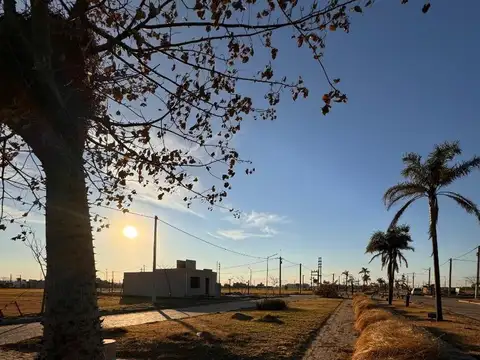 Terreno en Venta de 250,0 m2