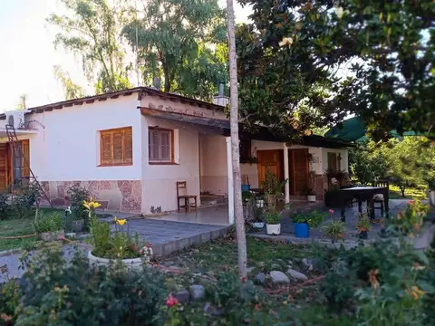 FINCA 11,5 HAS. EN COLONIA LAS ROSAS - TUNUYÁN
