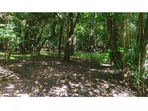 VENTA CAMPO 4.7 HECTAREAS CAMINO AL CUADRADO CBA