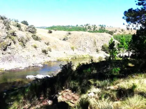 Yacanto