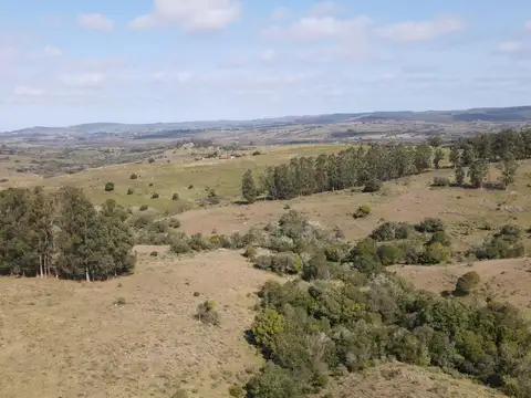 Establecimiento completo de 51ha Pueblo Edén ref 7082