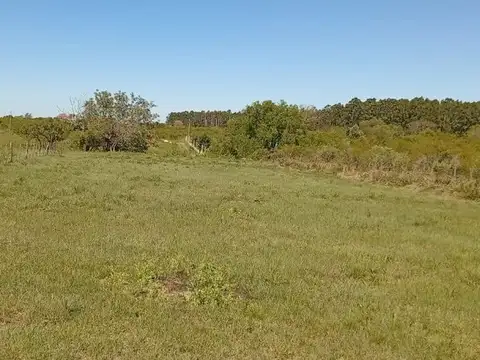 Terreno en Venta en Esquina, USD 18.000