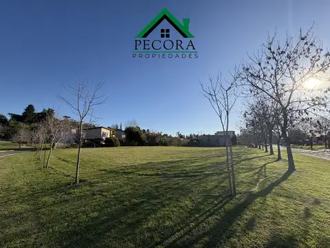 Terreno - El Cazal -  Interno - Lote 32