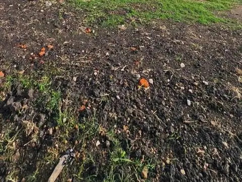 Casa en Venta en Pilar Del Este - Santa Sofia, USD 250.000