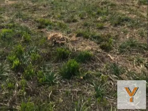 Terreno en Venta 66  mts Fondo