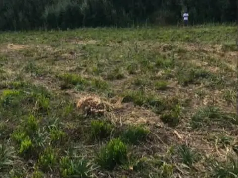 Terreno en Venta 66  mts Fondo