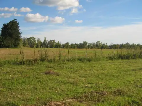 45  ha Lucas Gonzalez agricolas