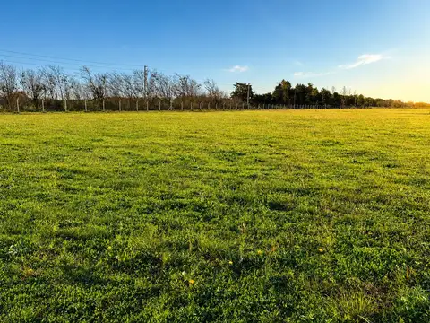 Terreno en Venta en General Rodríguez, USD 26.000
