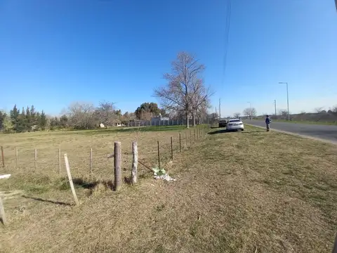 Ruta Provincial 15 y calle del indio