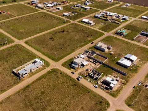 Remedio de Escala 100