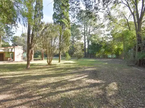 Virgen del Rosario 200