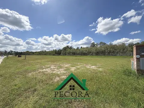 Nativas - Lote 183 - Puertos del lago