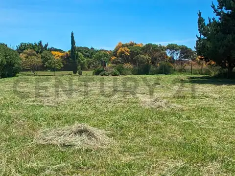 Terreno en Venta 25  mts Frente