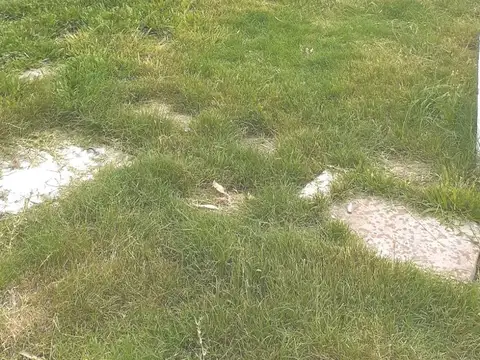 Casa en Alquiler Temporal en Punta del Este, USD 4.500