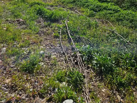 Venta Lote Barrio Abierto Los Alamos