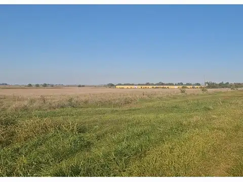Campo en  suipacha