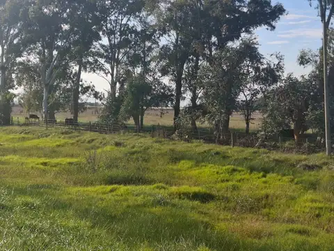 Ruta 5 al 100