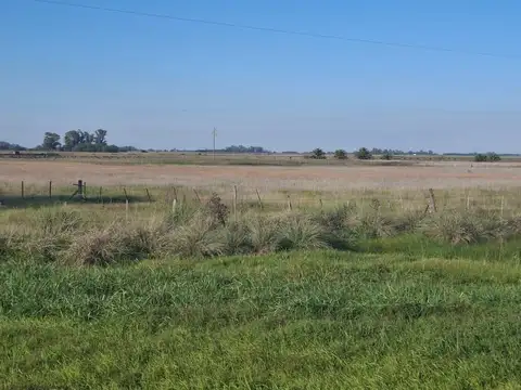 Campo KM 136 de la Ruta 5, Suipacha