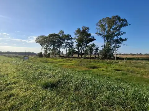 Campo en  suipacha