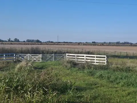 Campo en  suipacha