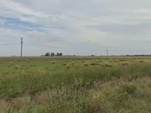 Campo en venta - 4.670.000Mts2 - Carlos Tejedor