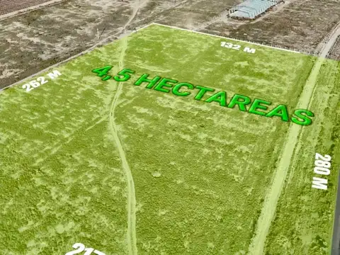 VENTA LOTE DE 4,4 HAS SOBRE RN7 A CHILE, MENDOZA.