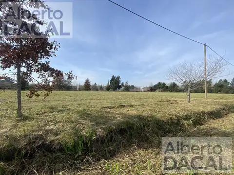 Terreno en Venta en 409/ 139 Y 141 BUONA TERRA Villa Elisa - Alberto Dacal Propiedades