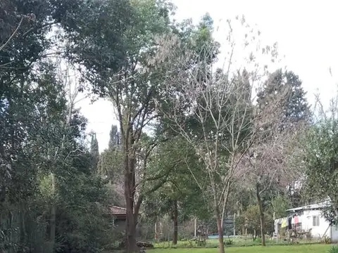 Sarmiento 400