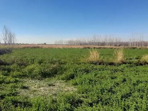Terreno en venta Agrícola Lavalle Jocolí Viejo