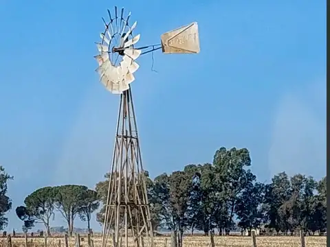venta campo