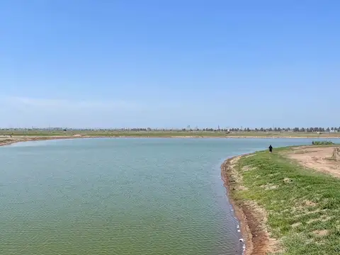 Terreno en Venta de 800,0 m2