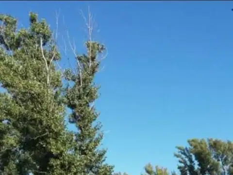 VENDO terreno en ANISACATE con MEJORAS