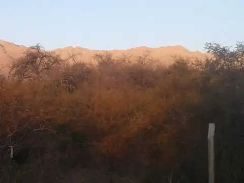 Terreno en Venta 60  mts Fondo