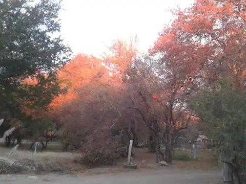 Terreno en Venta de 3500,0 m2